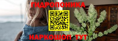 ECSTASY Кингисепп