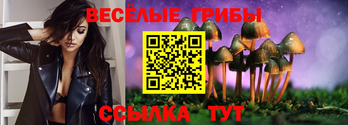 Галлюциногенные грибы прущие грибы  Вход с VPN  Галлюциногенные грибы Magic Shrooms  Карачаевск 